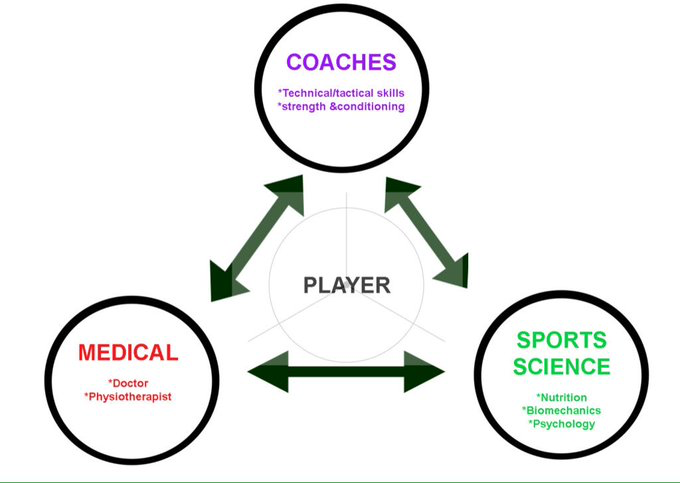 A multidisciplinary team working in professional sport
