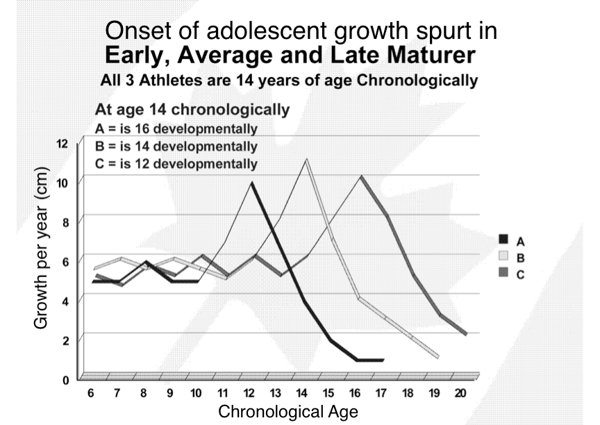 Illustration of how maturation status may vary for different children at the same age.