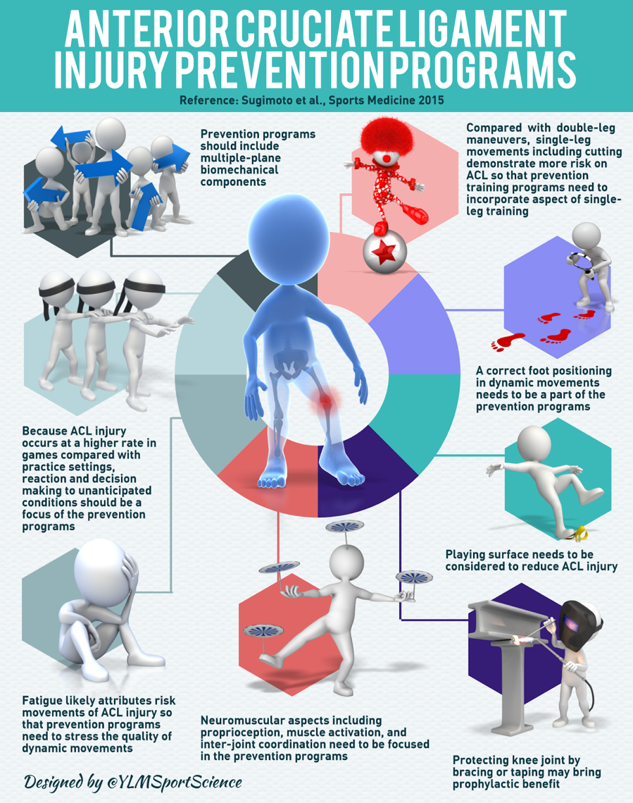 Components of ACL injury prevention programs, courtesy of @YLMSportScience (downloaded from YLMSportScience.com)