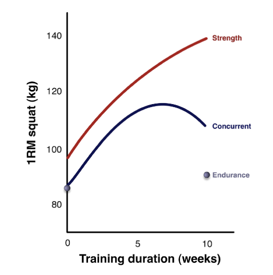 Illustration of the concurrent training effect. The figure shows the increase in one repetition maximum in the squat in subjects who participated in 10 weeks of high-intensity resistance exercise alone (resistance), endurance exercise alone (endurance), and both types of training (concurrent). Reproduced from Baar (2014).