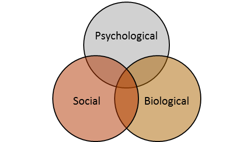 Figure 1 – Bio-psycho-social development model (Engle, 1977)