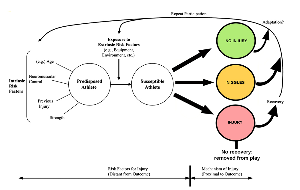 The dynamic recursive injury etiology model (adapted from Meeuwisse et al. (2007)