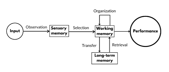 Components of motor skill learning.